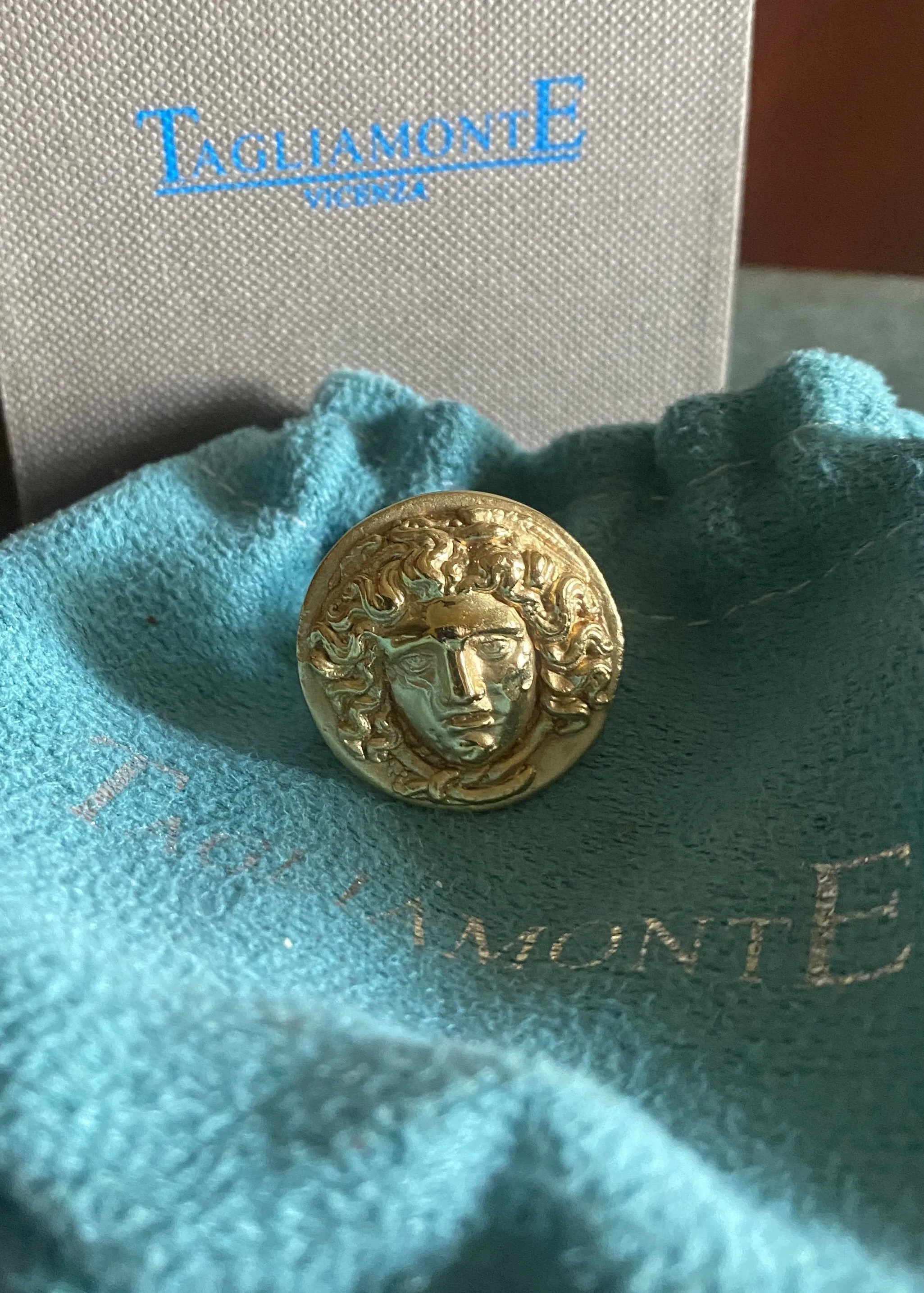 18k Gold & Ruby Medusa Ring