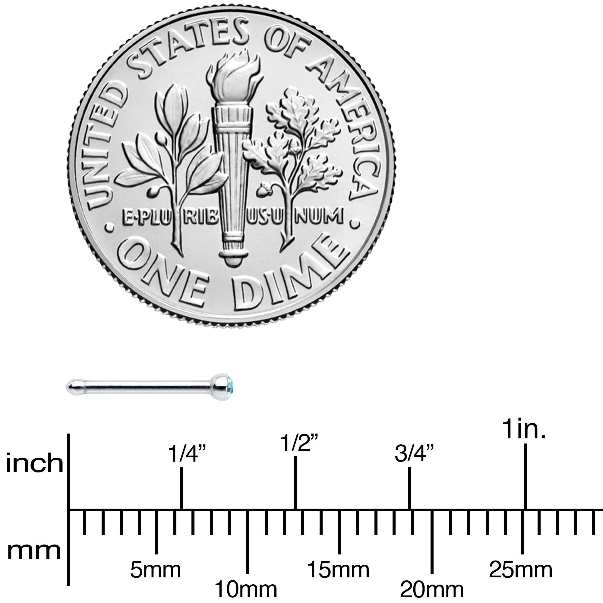20 Gauge Stainless Steel Aqua Gem Micro Nose Bone