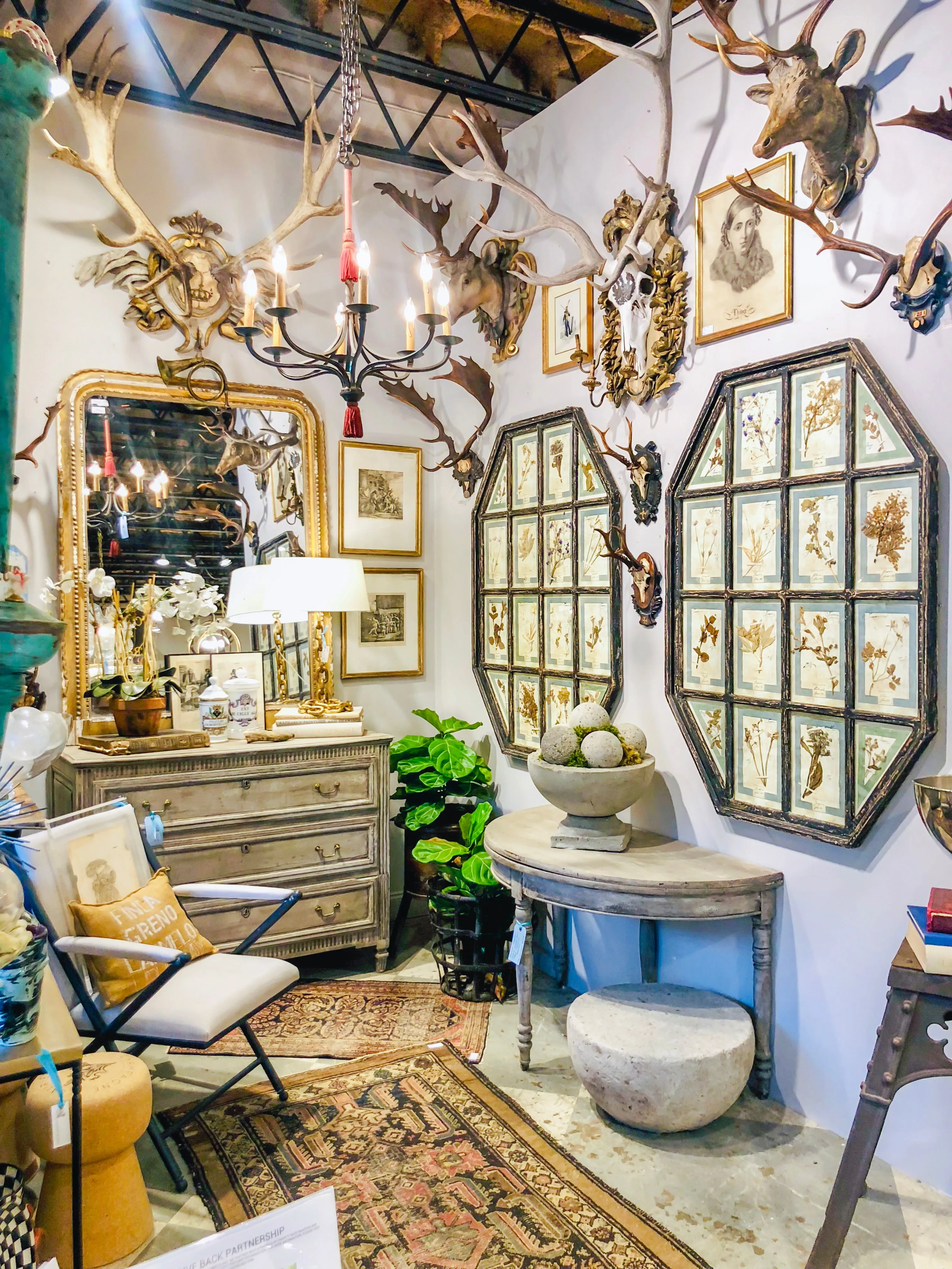 Antique Pairing of Framed Italian Dried Botanicals, circa 1901-1912
