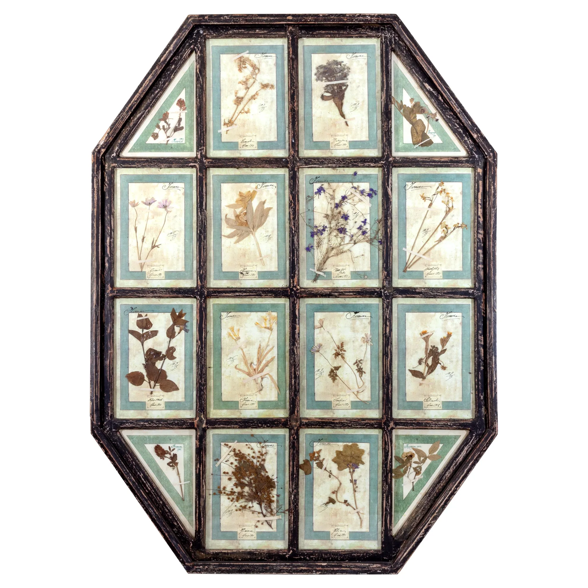 Antique Pairing of Framed Italian Dried Botanicals, circa 1901-1912