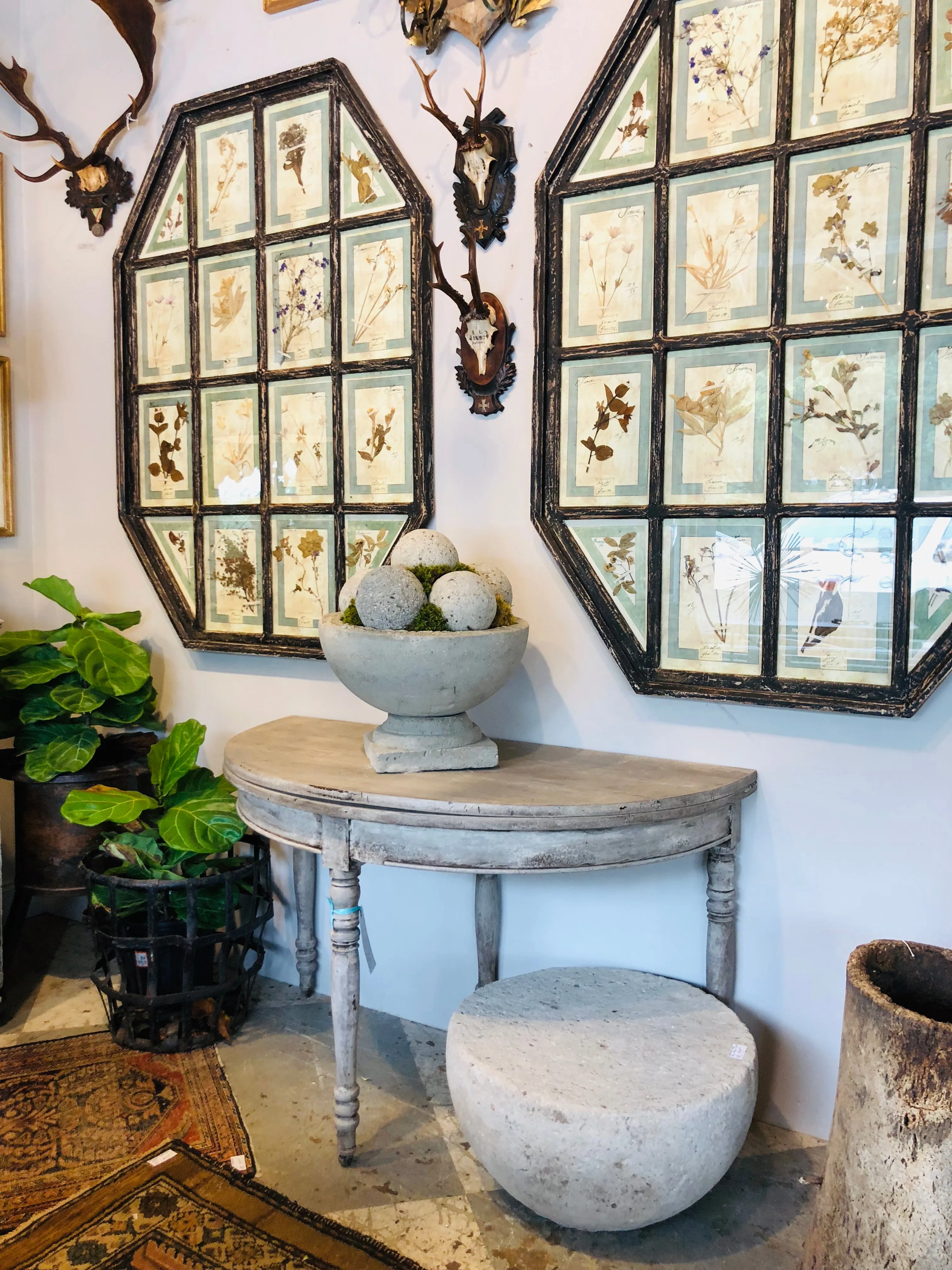 Antique Pairing of Framed Italian Dried Botanicals, circa 1901-1912