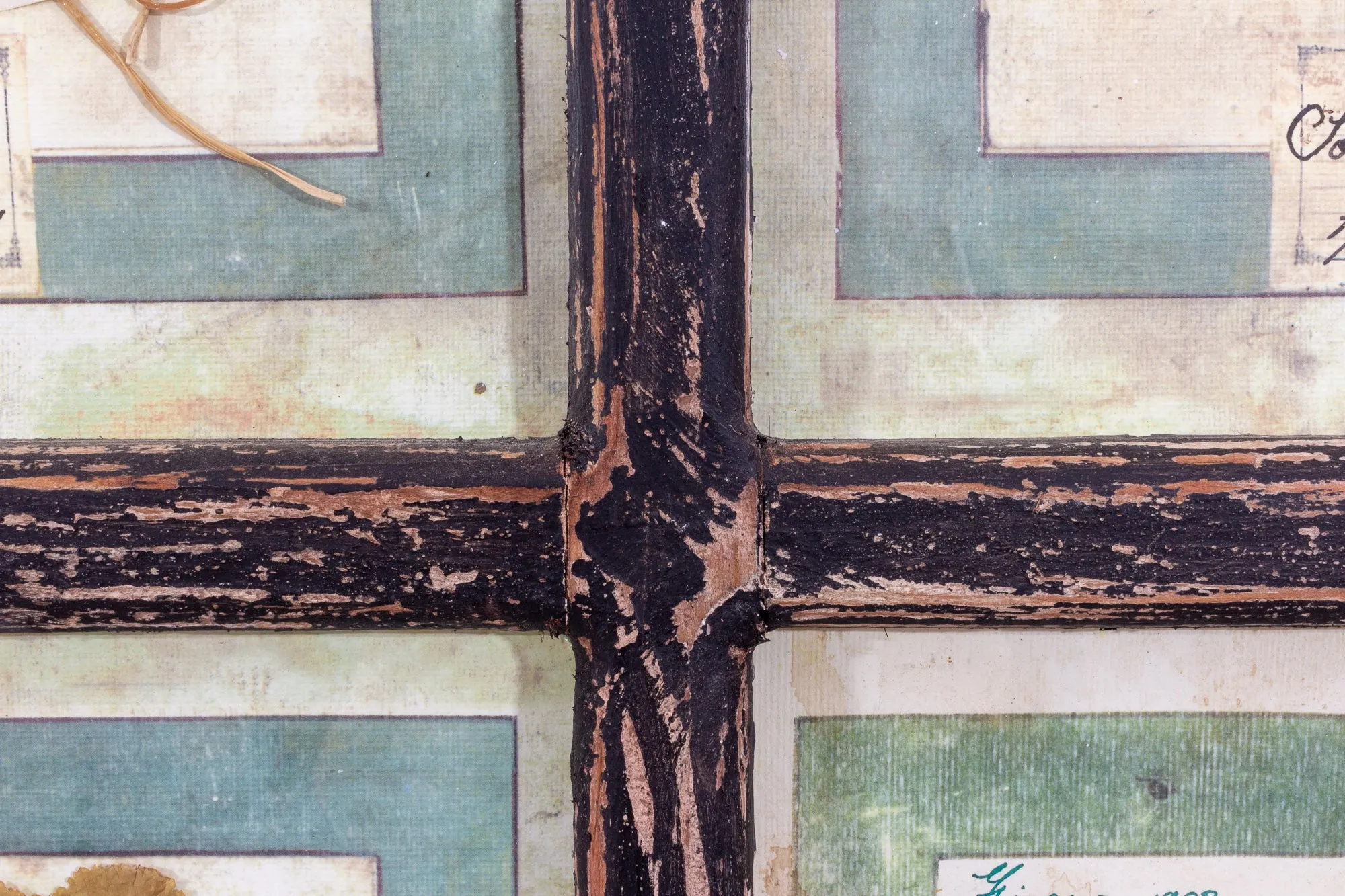 Antique Pairing of Framed Italian Dried Botanicals, circa 1901-1912