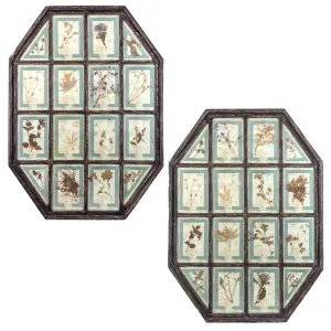 Antique Pairing of Framed Italian Dried Botanicals, circa 1901-1912