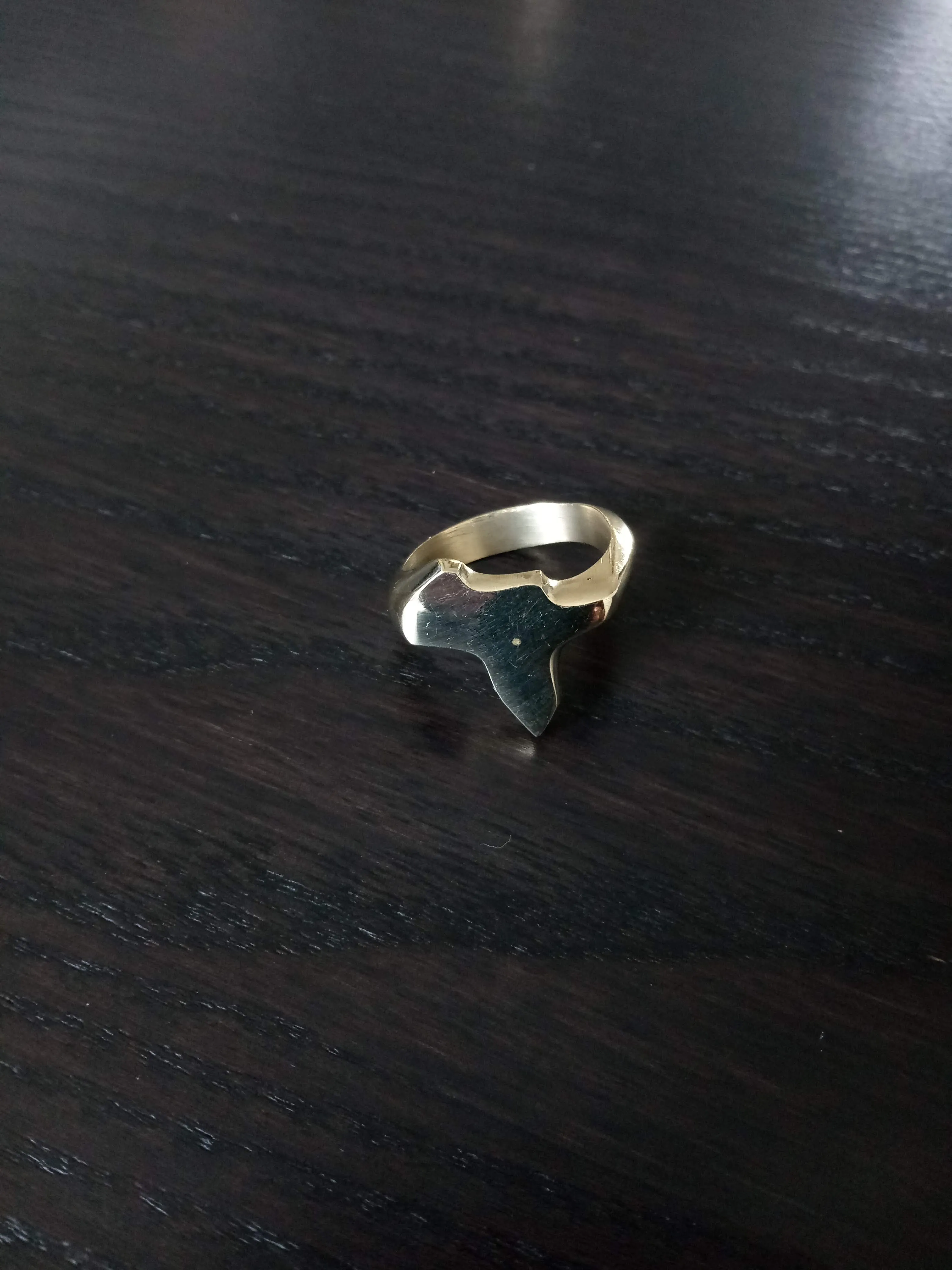 Brass Rings | Adjustable|African  Geri's Bluffing Boutique