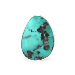 Campitos Turquoise Ring #9 - Size 7