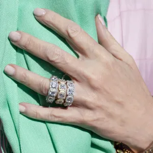 Clarisa Ring Guard