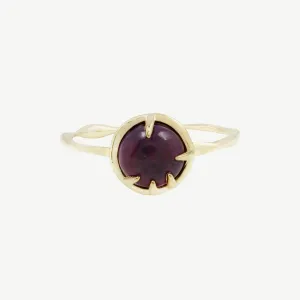 Fortune Teller in Amethyst