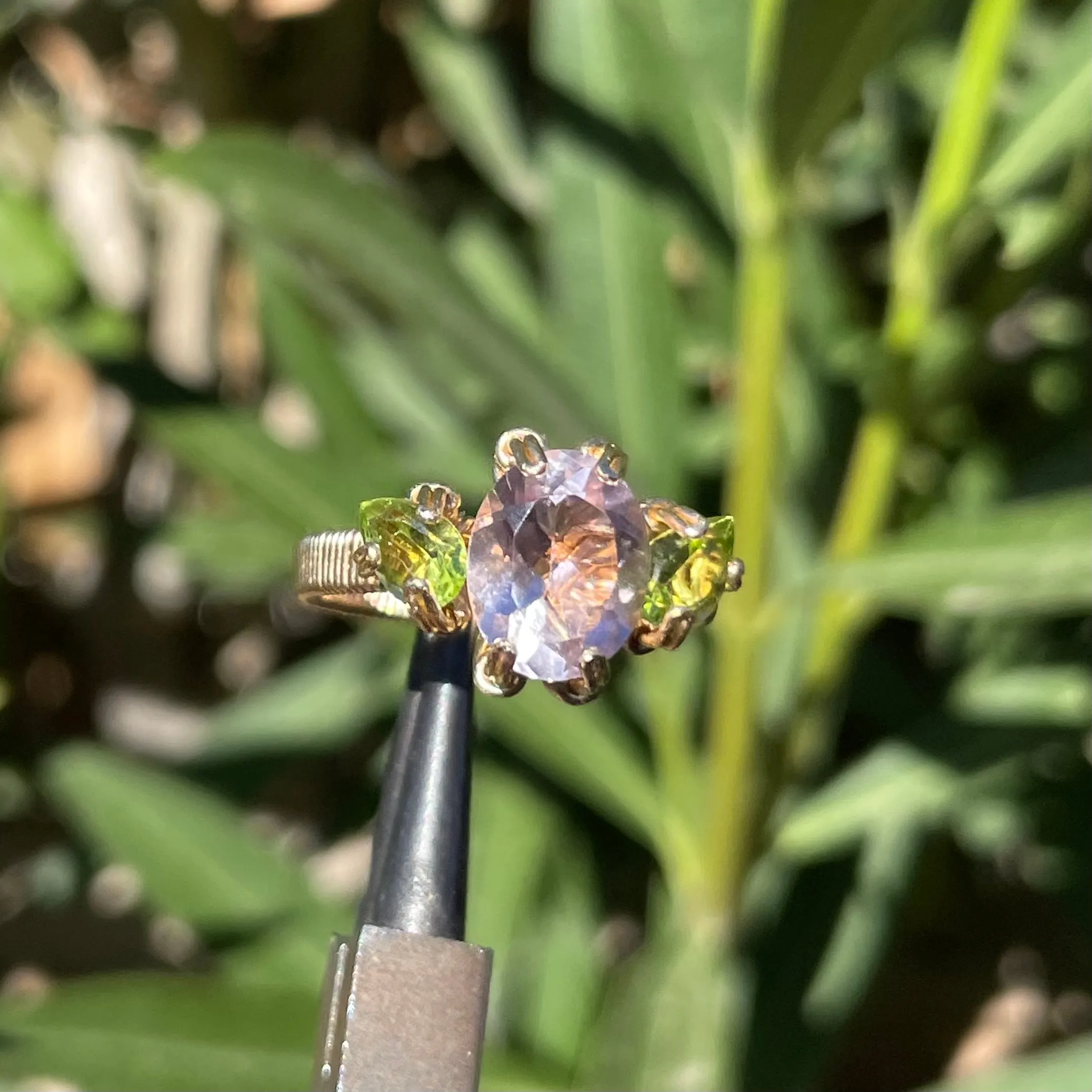 Lilac Orna Ring ✵