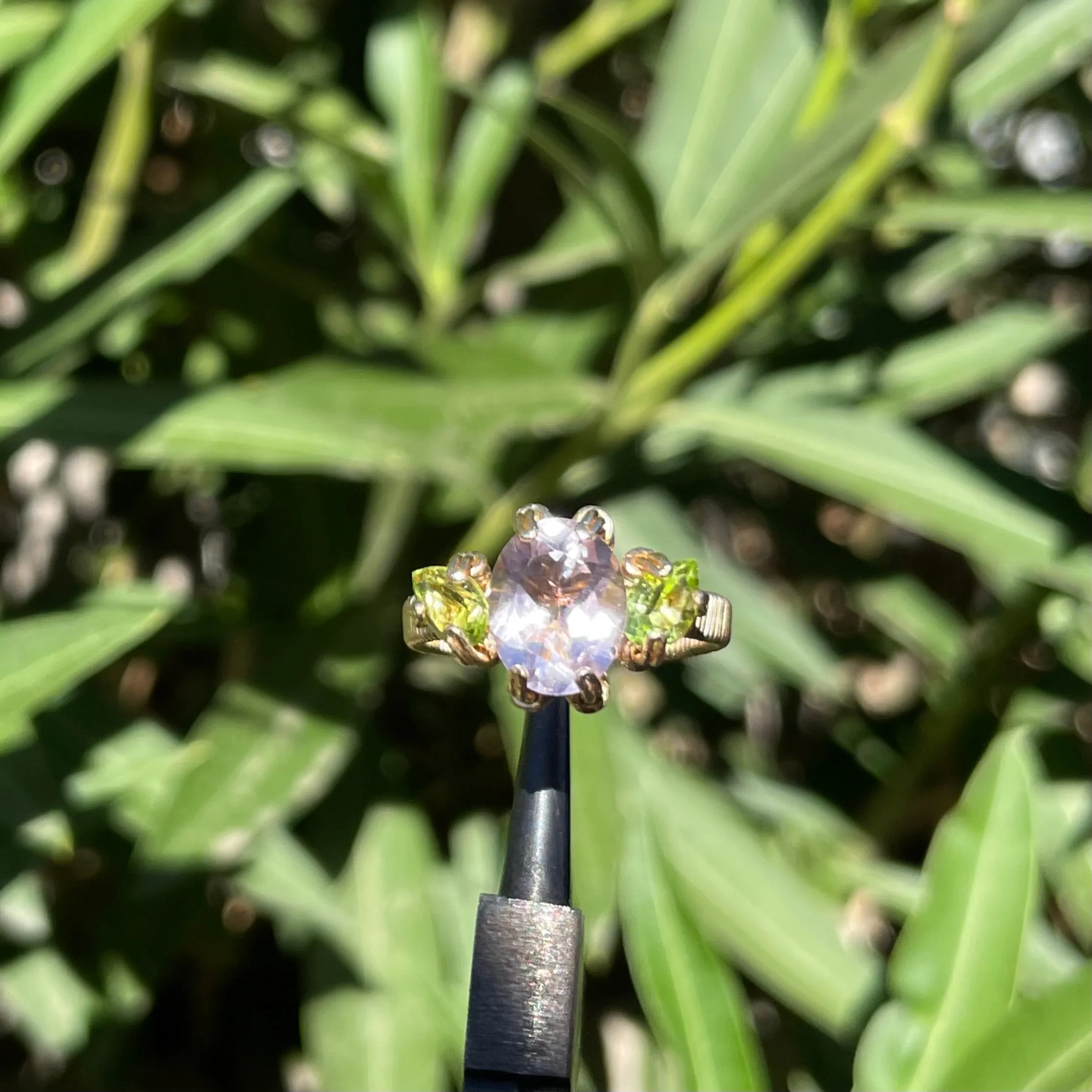 Lilac Orna Ring ✵