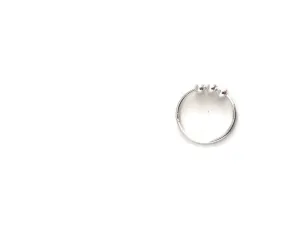 Ollie Silver Fidget Ring