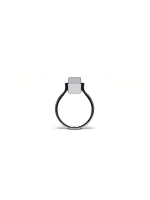 PERCEPTION ring