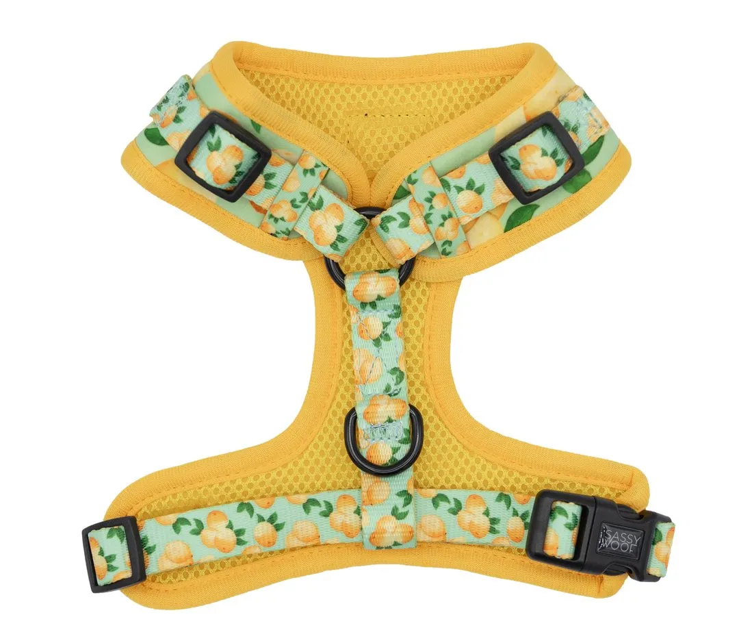 "Squeeze"Adjustable Harness