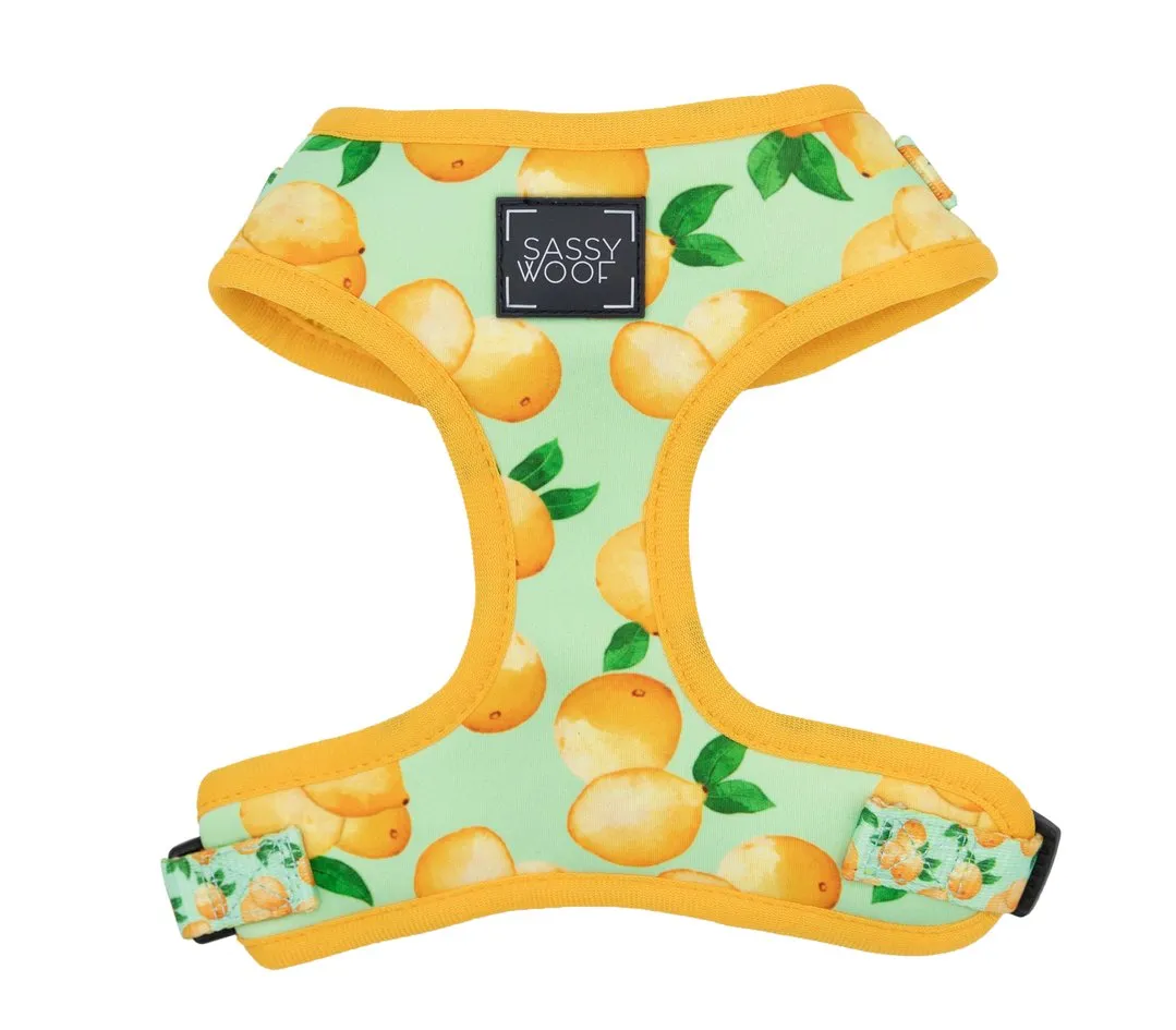 "Squeeze"Adjustable Harness