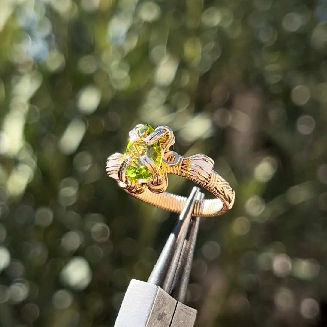 The Antheia Ring✵