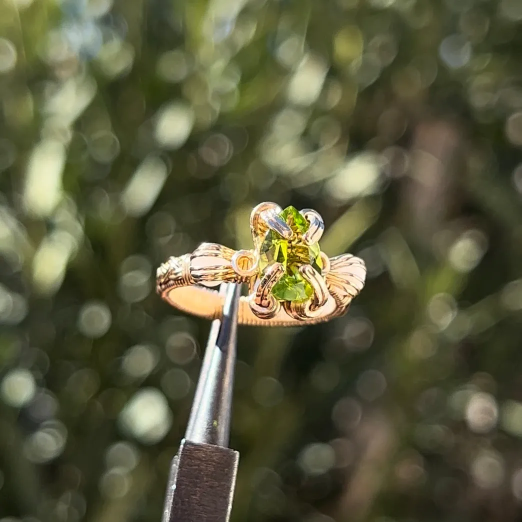The Antheia Ring✵