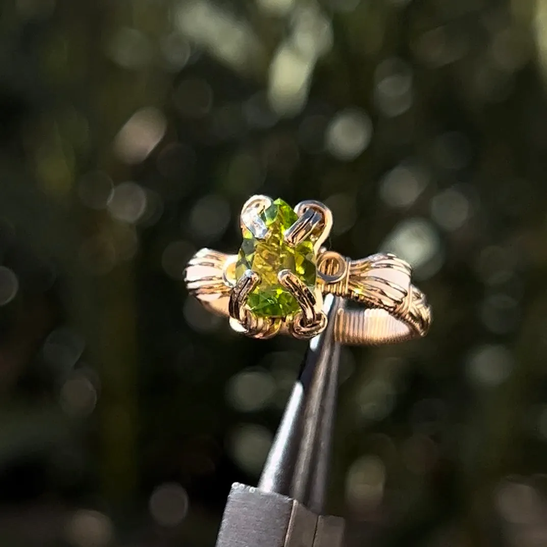 The Antheia Ring✵