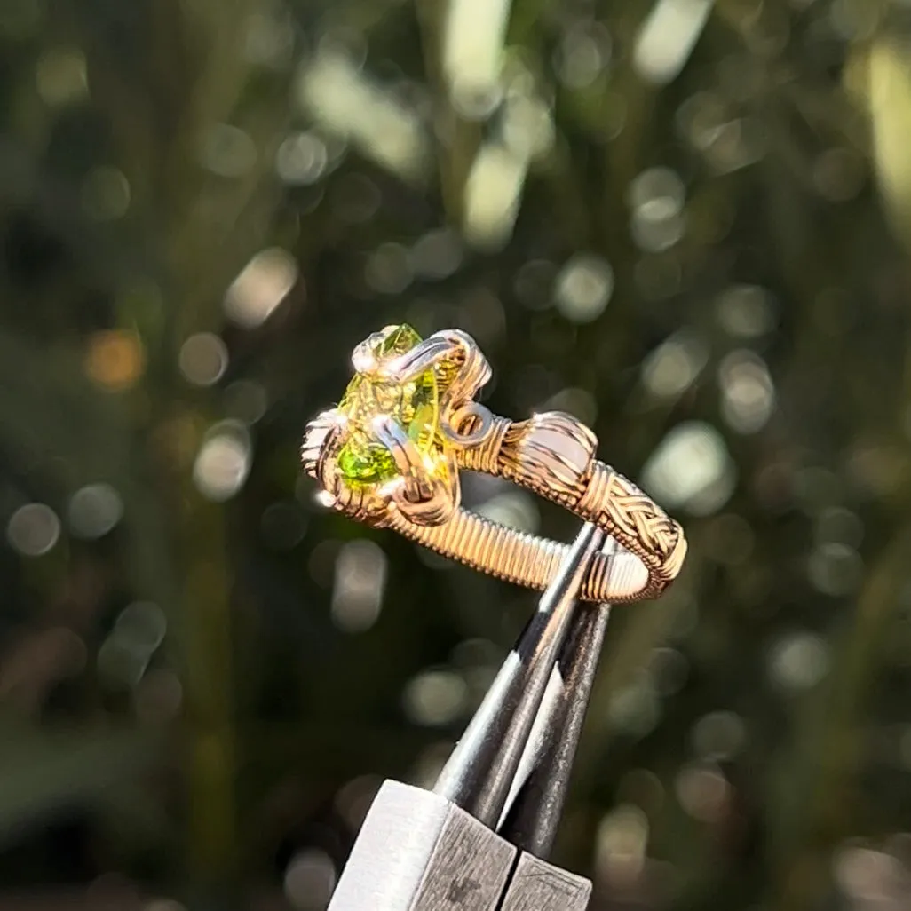 The Antheia Ring✵