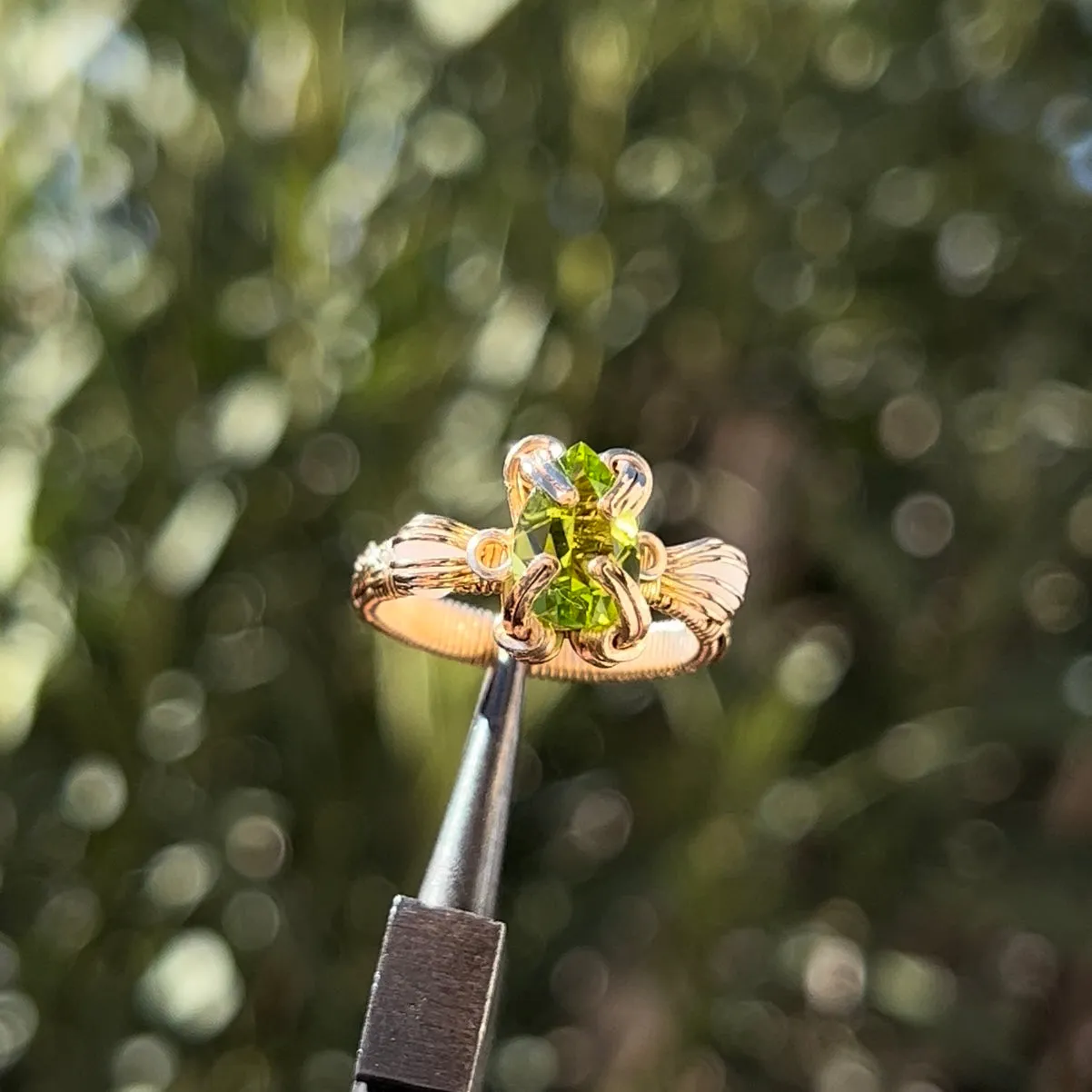The Antheia Ring✵