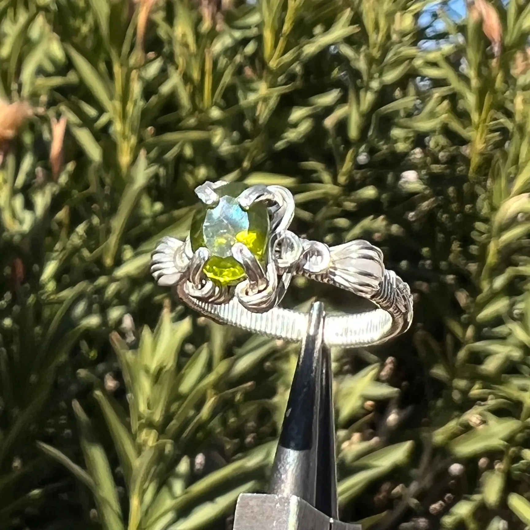 The Asteria Ring✵