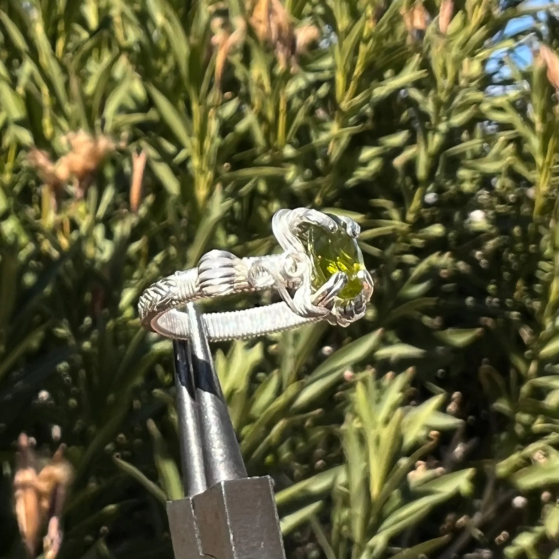 The Asteria Ring✵