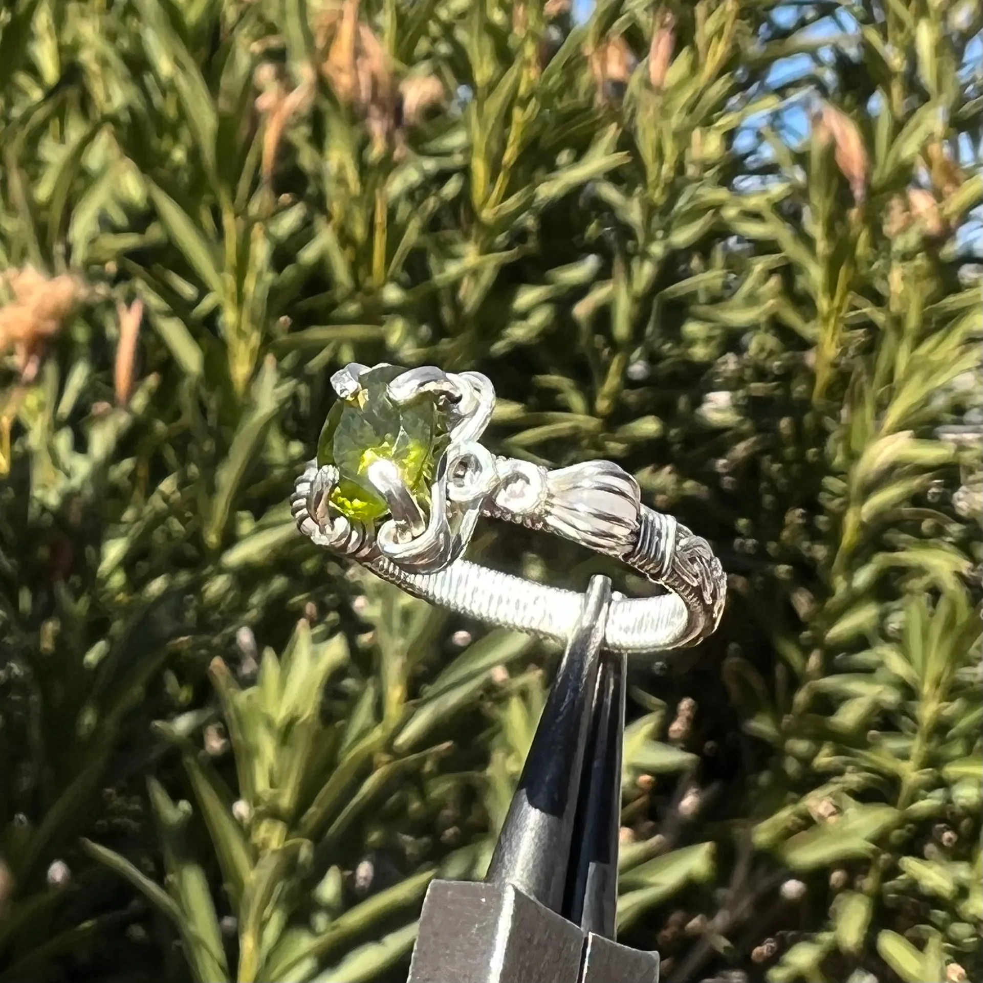 The Asteria Ring✵