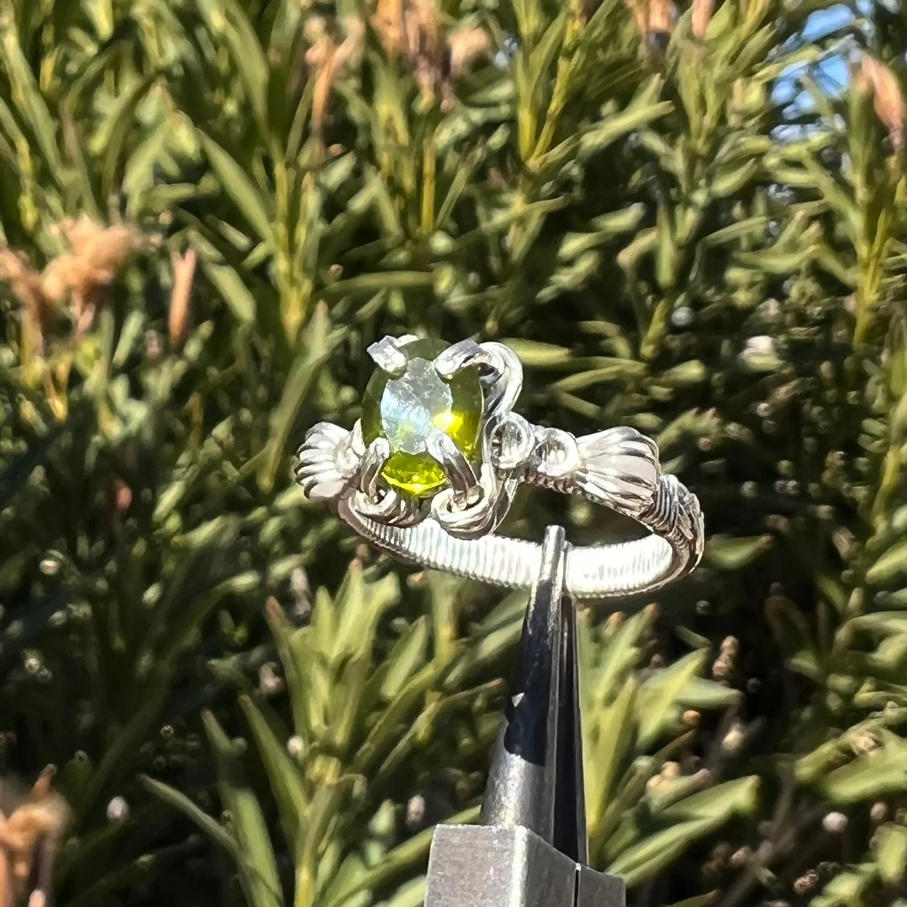 The Asteria Ring✵