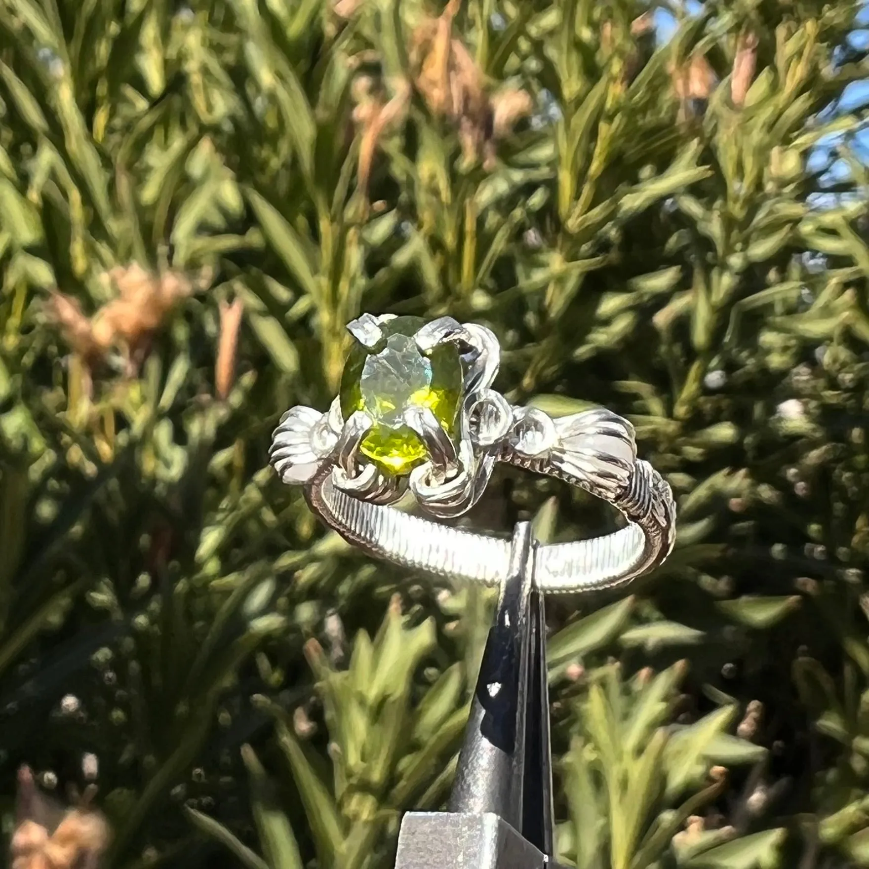 The Asteria Ring✵