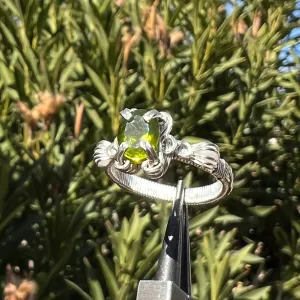 The Asteria Ring✵
