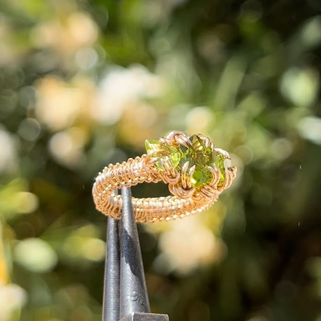 The Gorgon Ring 𓆙