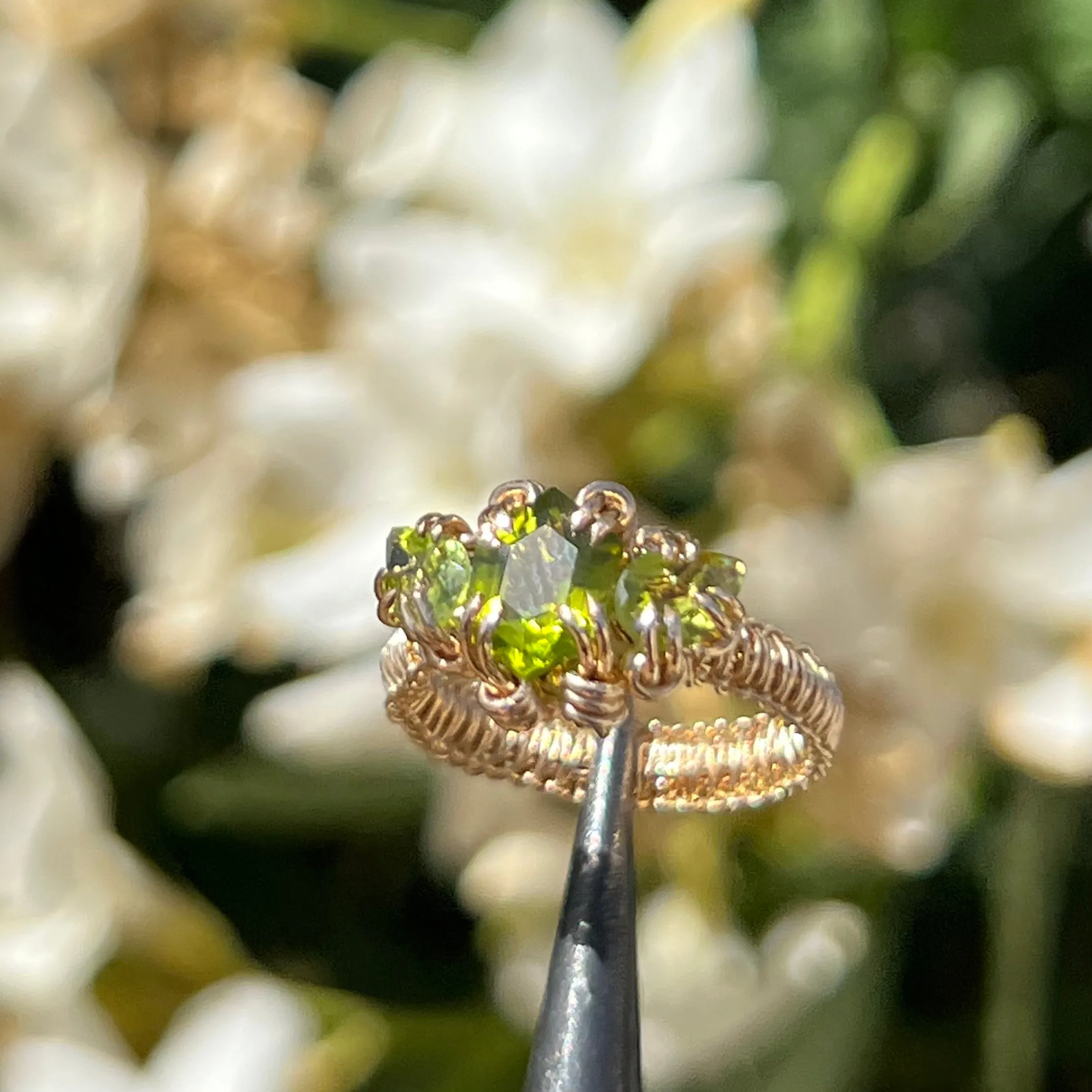 The Gorgon Ring 𓆙