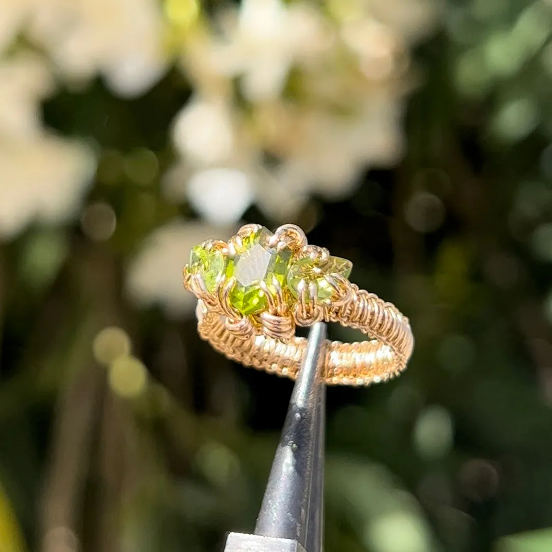 The Gorgon Ring 𓆙