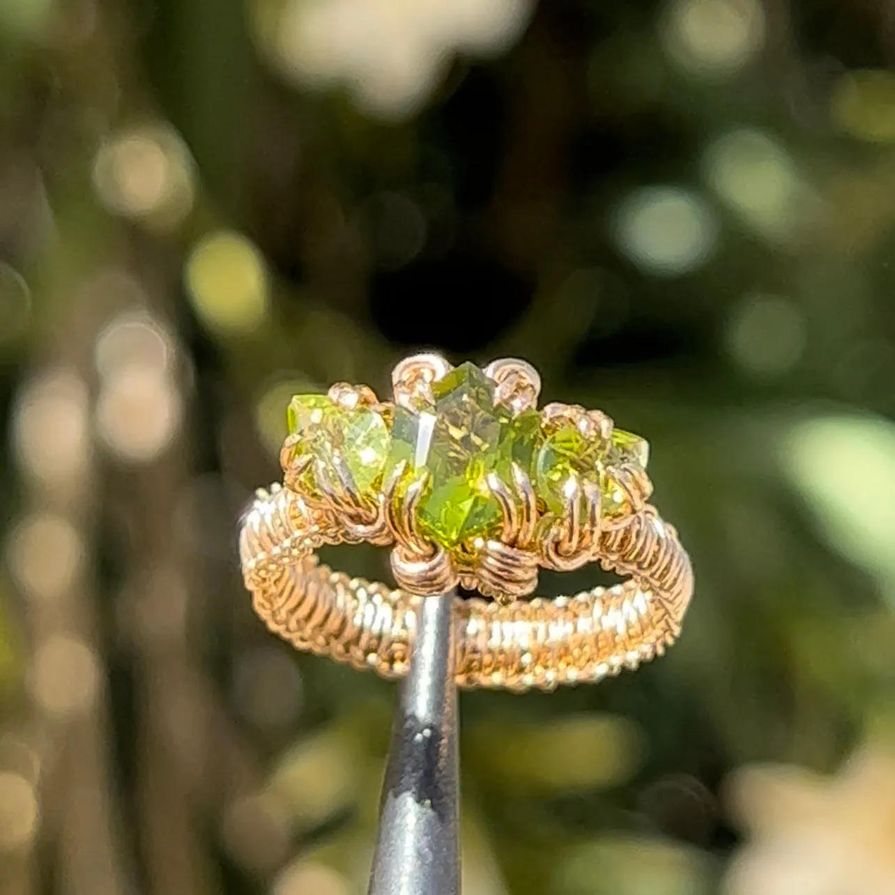 The Gorgon Ring 𓆙