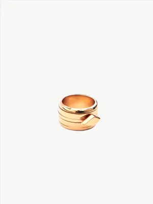 Tuliza Statement Spinner Mental Health Ring