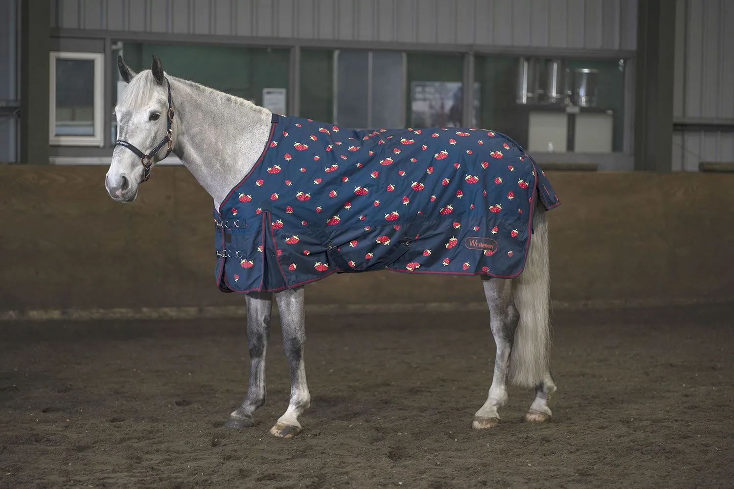 Whitaker Strawberry Turnout Rug 0Gm